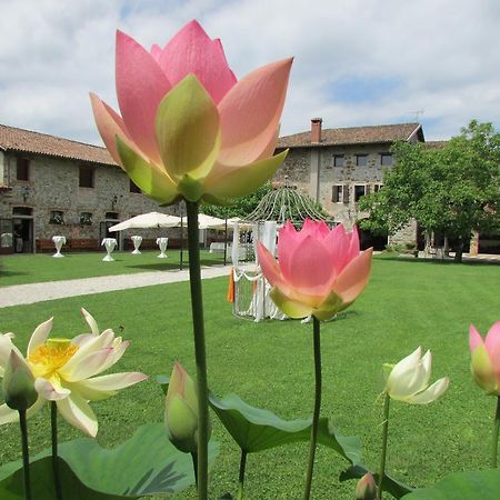 Agriturismo Il Vagabondo Buttrio المظهر الخارجي الصورة