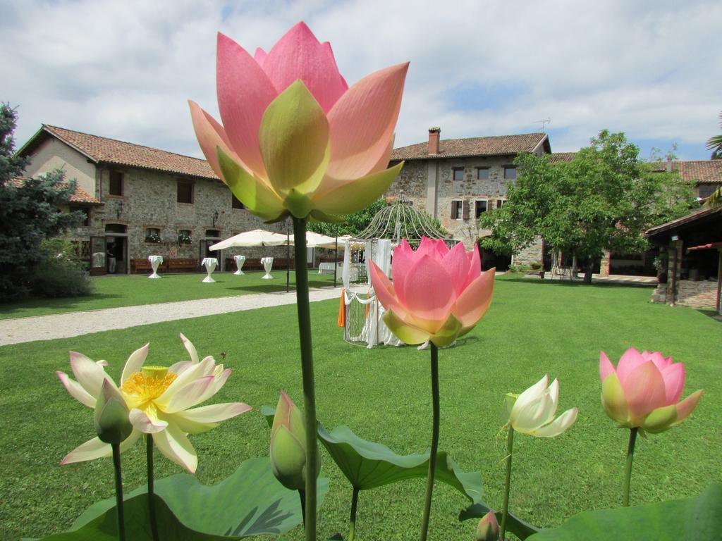 Agriturismo Il Vagabondo Buttrio المظهر الخارجي الصورة